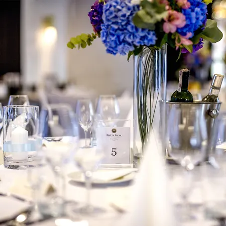 Hotel Dana Business & Conference 4*