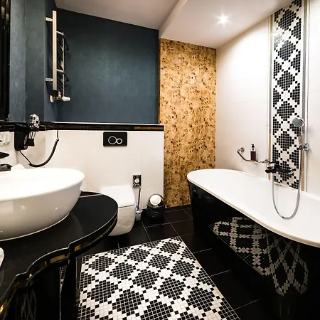 酒店 达纳商务与会议酒店 什切青