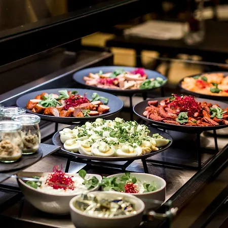Hotel Dana Business & Conference Stettin