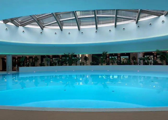 Dana Business & Conference شتشيتسين