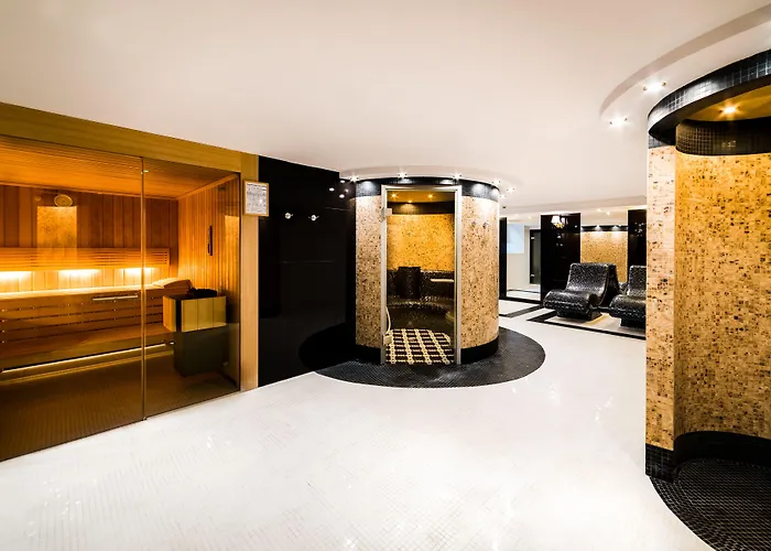 Dana Business & Conference شتشيتسين