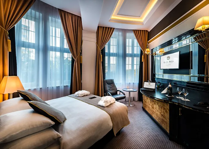 فندق Dana Business & Conference 4*