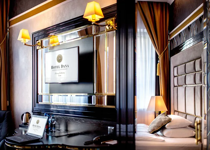 Dana Business & Conference 4*