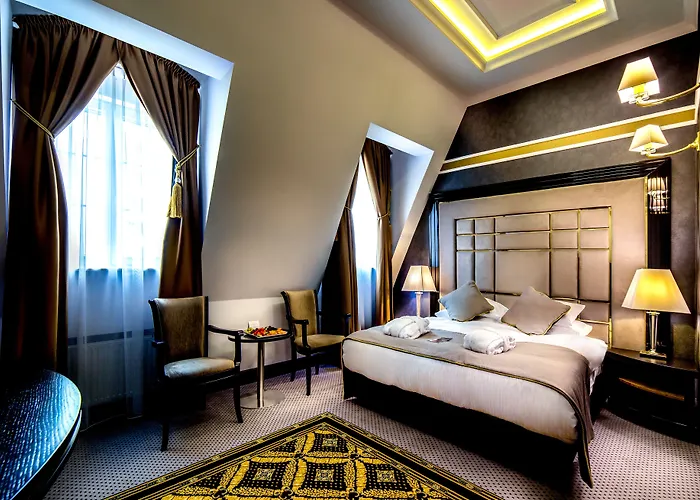 Dana Business & Conference فندق شتشيتسين